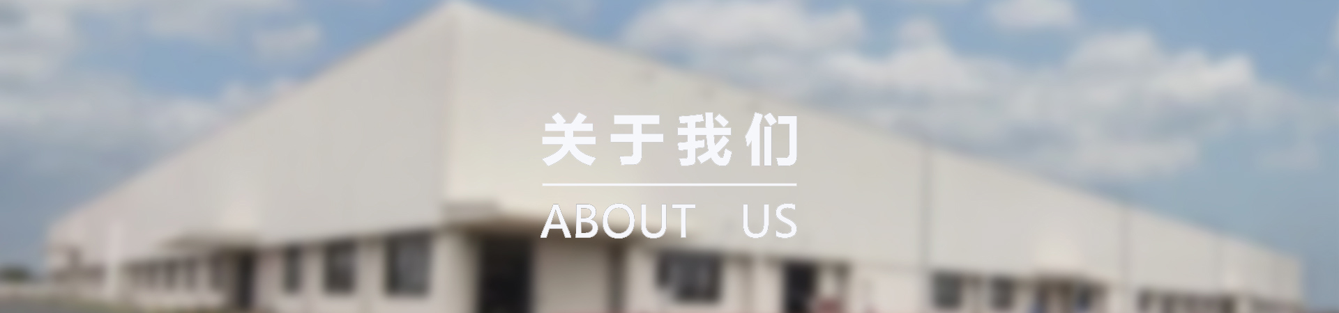公司简介